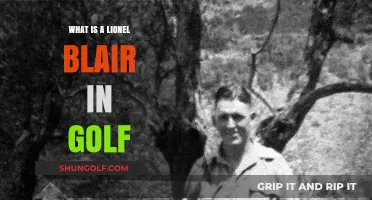 Understanding the Lionel Blair Golf Swing: Technique, Benefits, and Tips