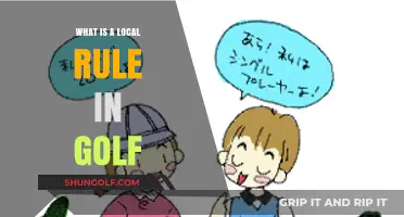 Understanding Local Rules in Golf: Key Guidelines for Every Course