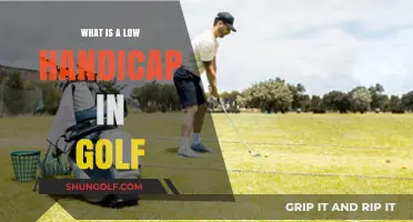 Understanding Low Handicap Golfers: Skill Levels and Course Performance Explained
