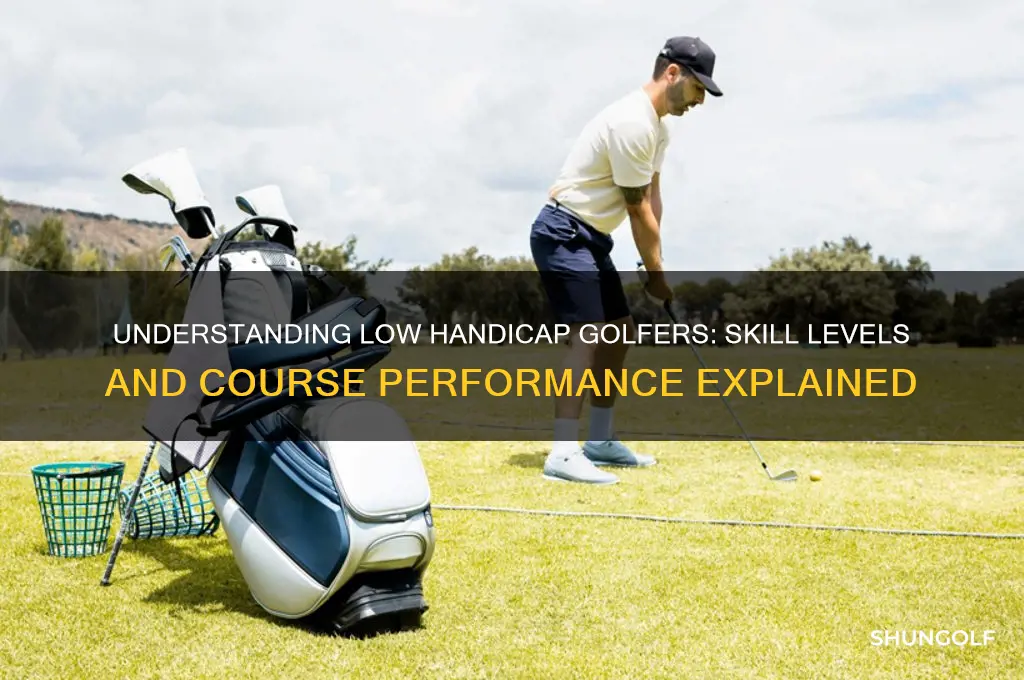 what is a low handicap in golf