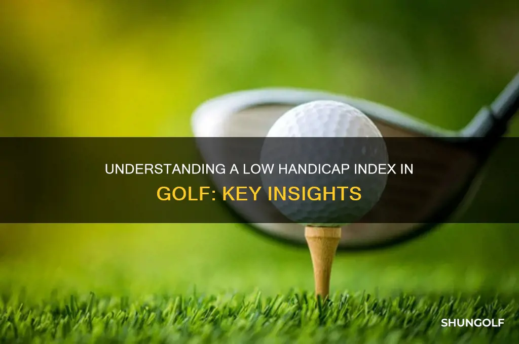 what is a low handicap index in golf