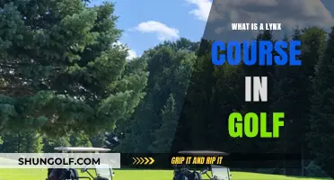 Understanding the Unique Design and Appeal of a Lynx Golf Course