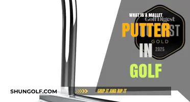 Understanding the Mallet Putter: A Game-Changing Golf Club Explained