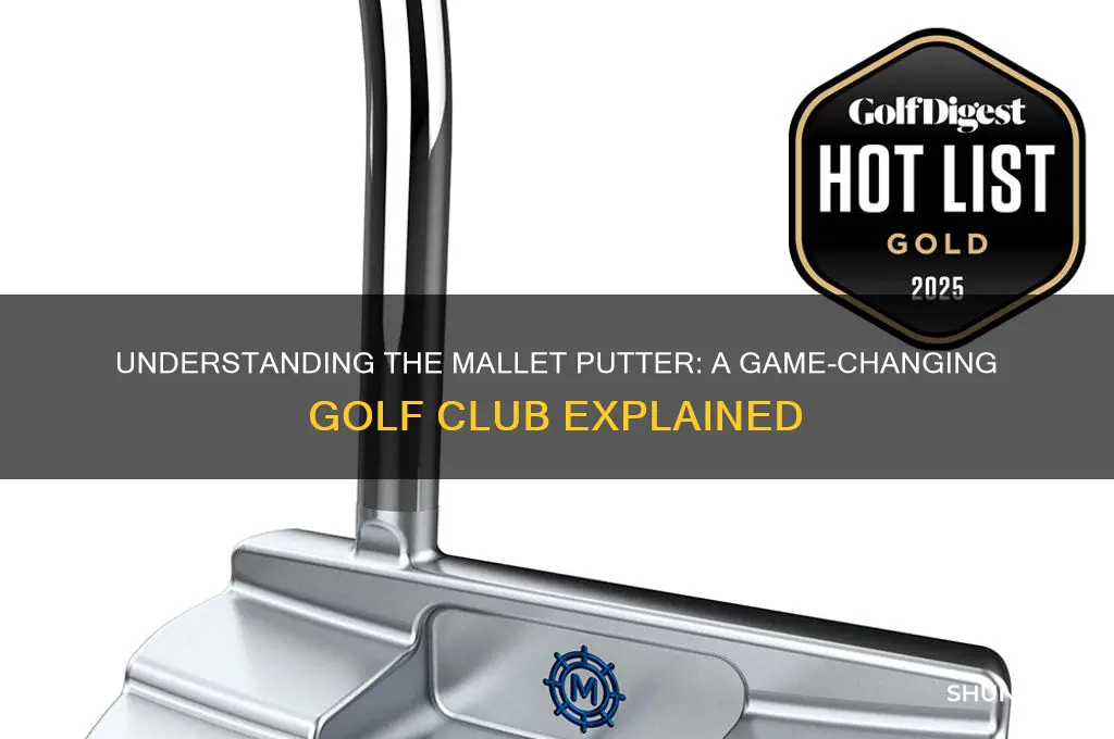 what is a mallet putter in golf
