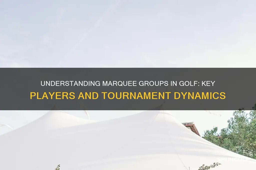 what is a marquee group in golf