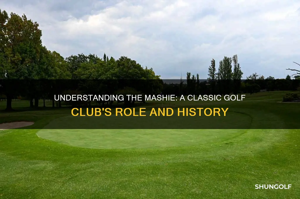 what is a mashie in golf