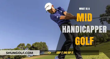 Golf's Mid-Handicapper: What's the Deal?