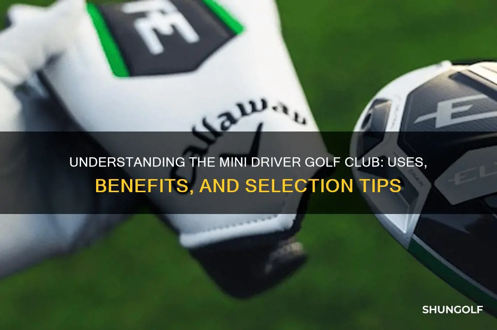 what is a mini driver golf club
