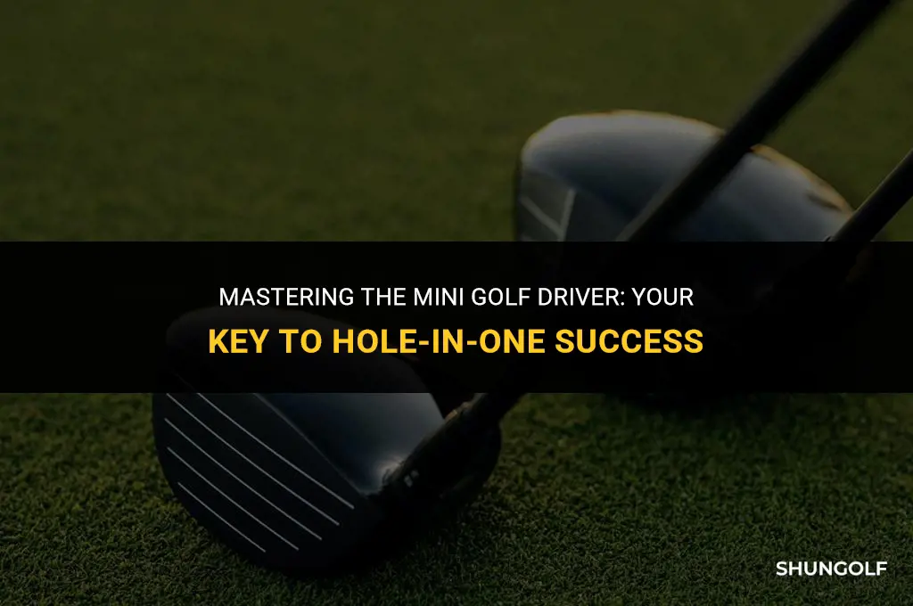 what is a mini golf driver