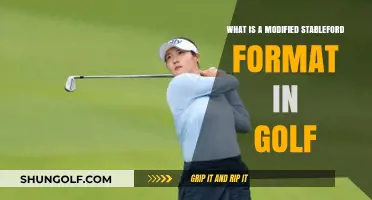 Understanding the Modified Stableford Format in Golf: A Comprehensive Guide