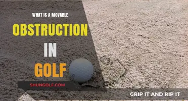 Understanding Movable Obstructions in Golf: Rules and Practical Insights