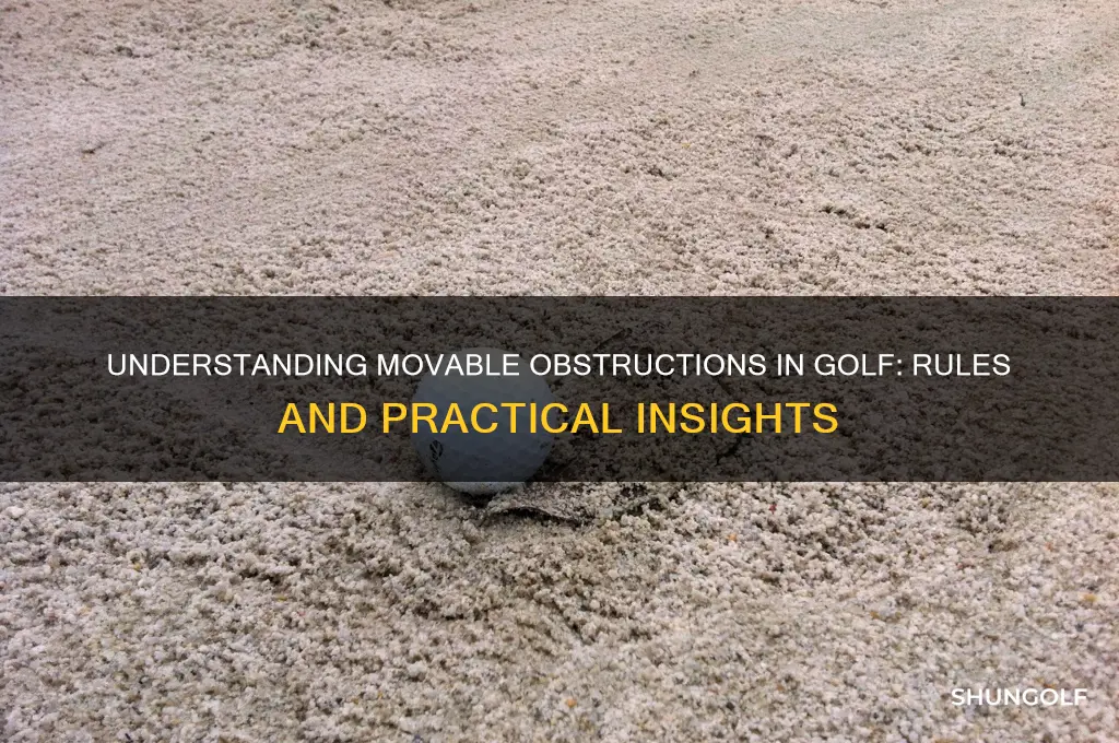 what is a movable obstruction in golf