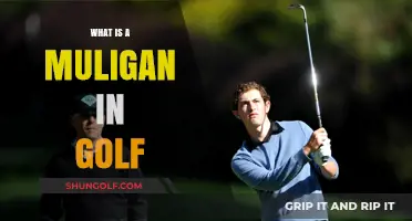 Understanding Golf's Mulligan: A Second Chance