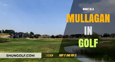 Golf's Mulligan: Second Chance at a First Shot