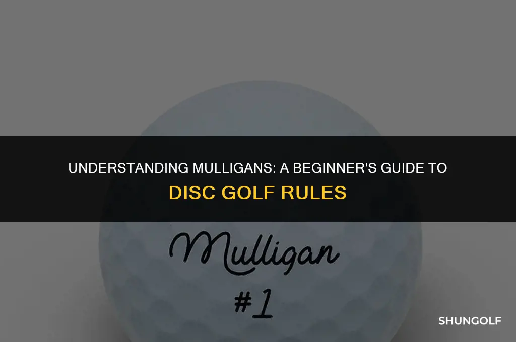 what is a mulligan in disc golf