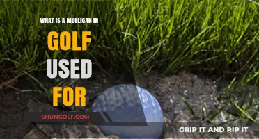 Exploring the Mulligan: Golf's Controversial Second Chance
