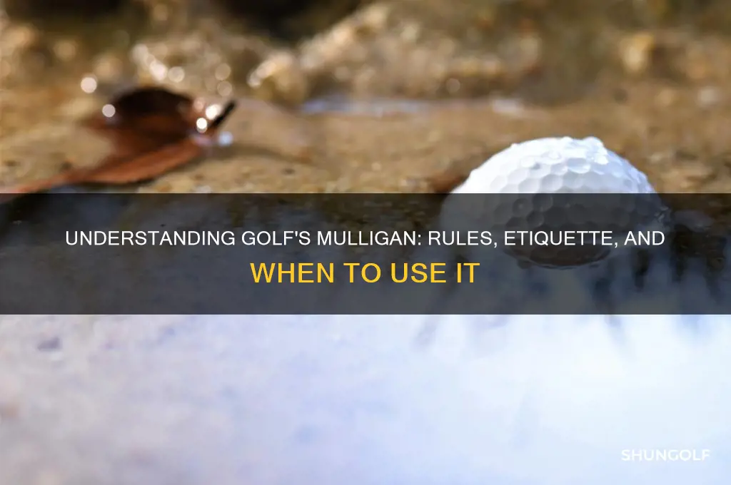 what is a mulligan in golf will