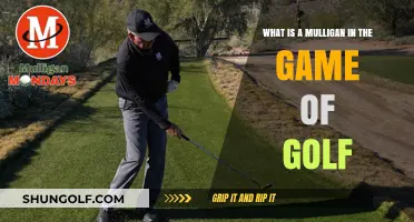 Understanding Golf's Mulligan: A Second Chance on the Course