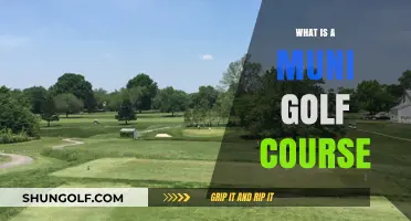 Understanding Muni Golf Courses: Affordable Public Golfing Explained