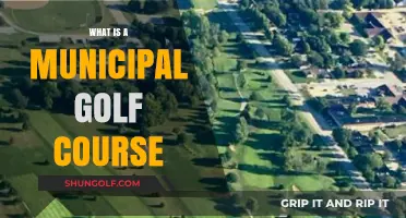 Exploring Municipal Golf Courses: Affordable Public Greens for All Players