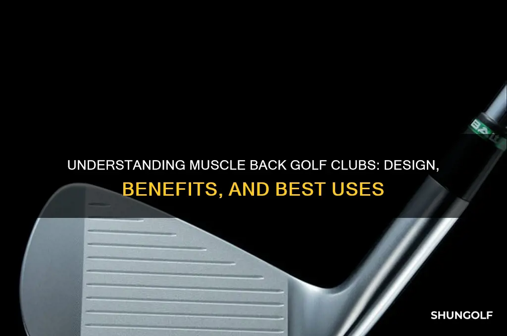 what is a muscle back golf club