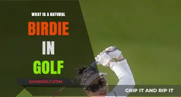 Understanding the Natural Birdie: A Simple Golf Scoring Achievement