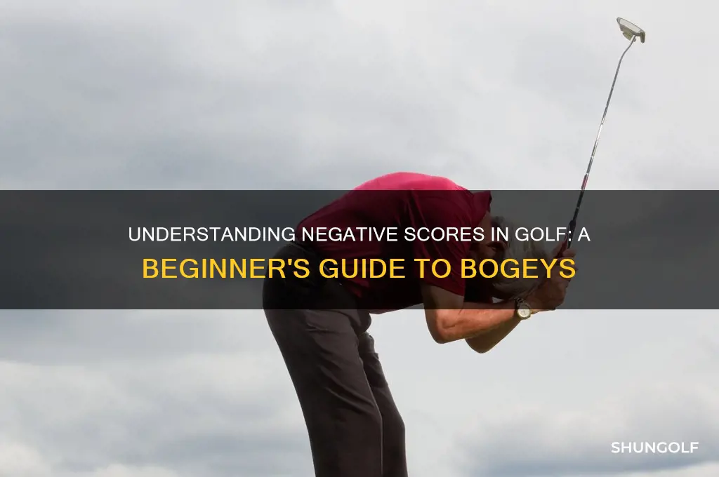 what is a negative score in golf