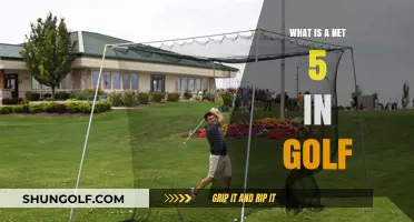 Understanding Net 5 in Golf: A Beginner's Guide to Scoring