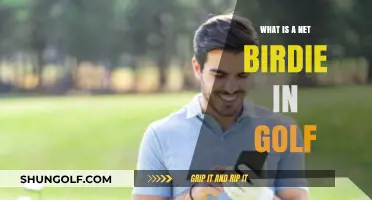 Understanding the Net Birdie: A Key Concept in Golf Scoring