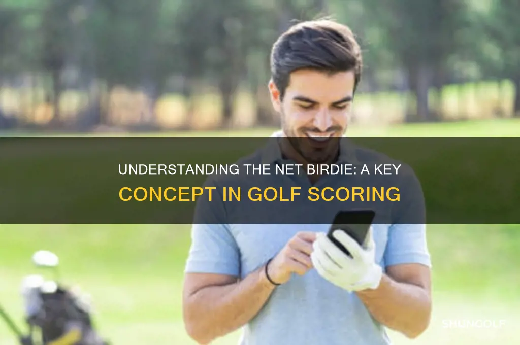 what is a net birdie in golf