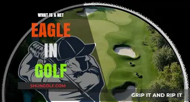 Understanding the Net Eagle: A Golf Scoring Term Explained
