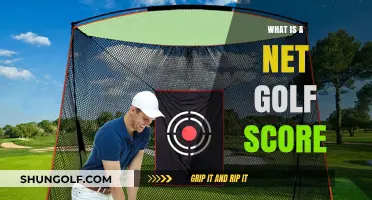 Golf Net Scoring: Understanding the Basics