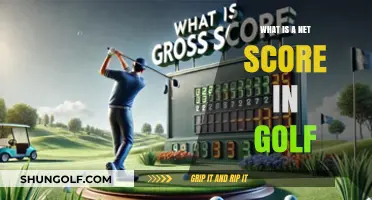 Understanding Golf's Net Score: A Beginner's Guide to Calculation