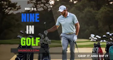 Golf's Elusive Nine: The Perfect Score