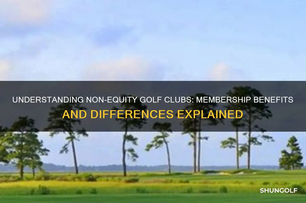 what is a non equity golf club