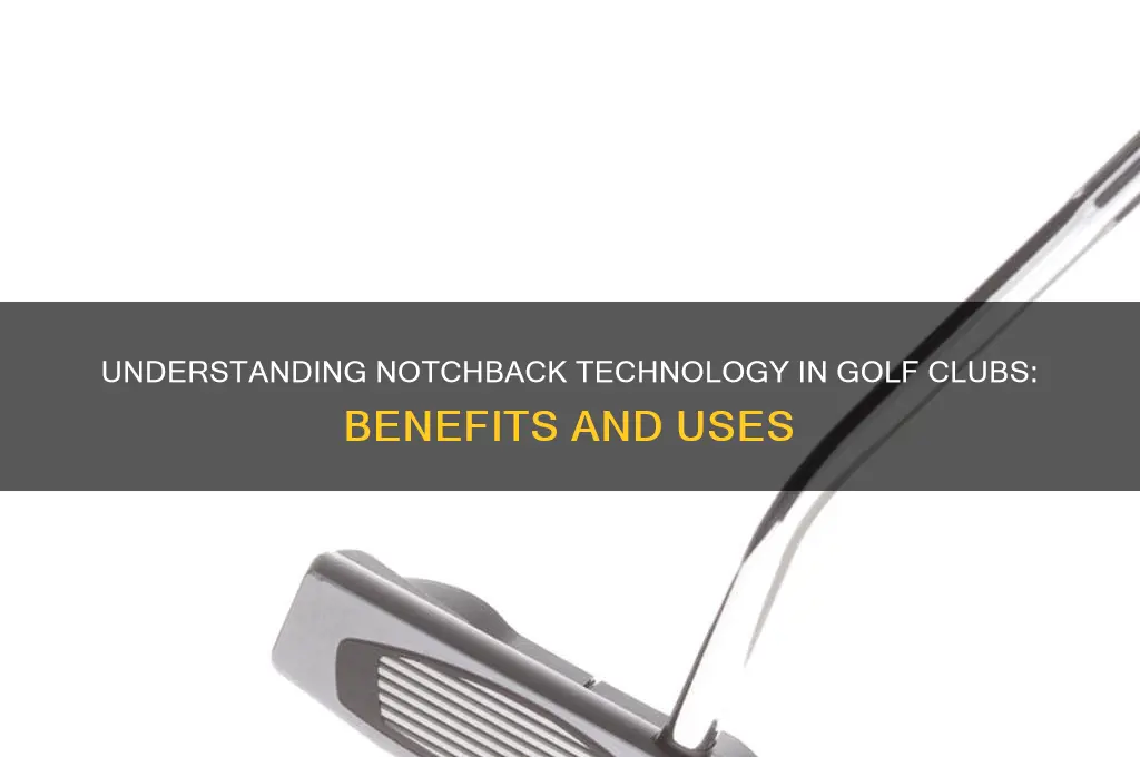 what is a notchback on golf clubs