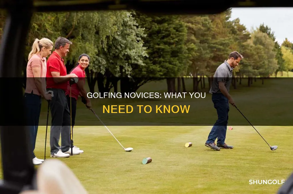 what is a novice golfer