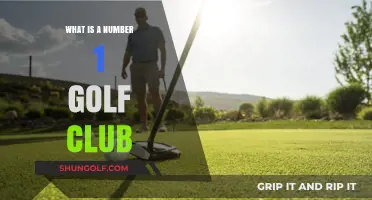 Understanding the Number 1 Golf Club: Uses, Features, and Benefits
