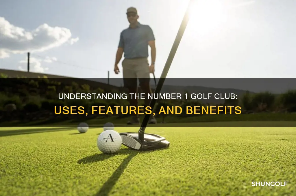 what is a number 1 golf club