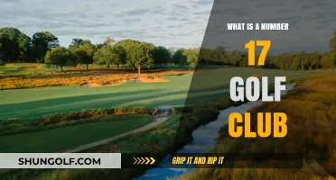 Understanding the Unique Role of a Number 17 Golf Club