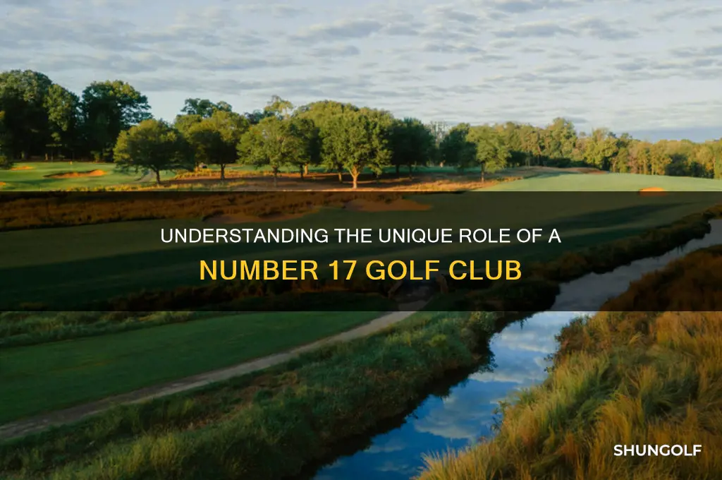 what is a number 17 golf club