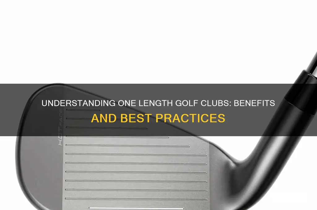 what is a one length golf club