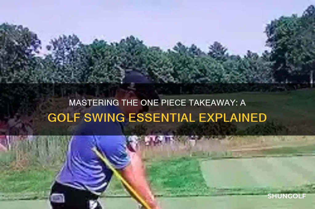what is a one piece takeaway in golf