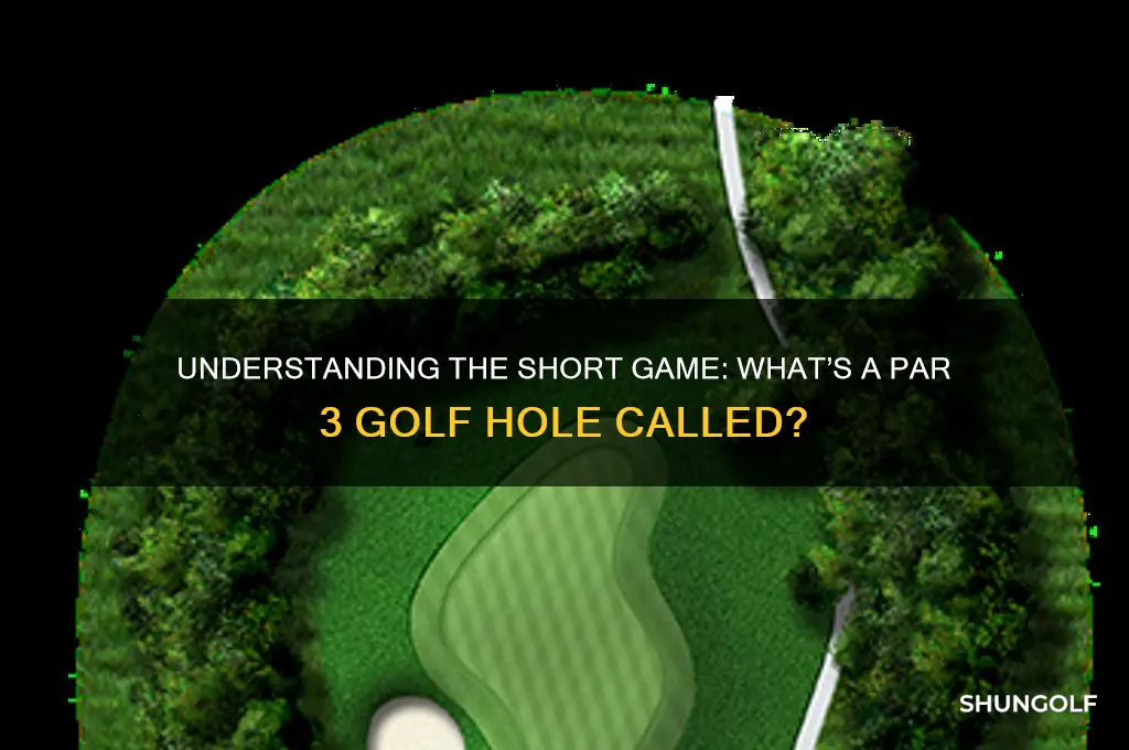 what is a par 3 golf hole called