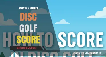 Achieving Perfection: The Ultimate Guide to Disc Golf Scoring