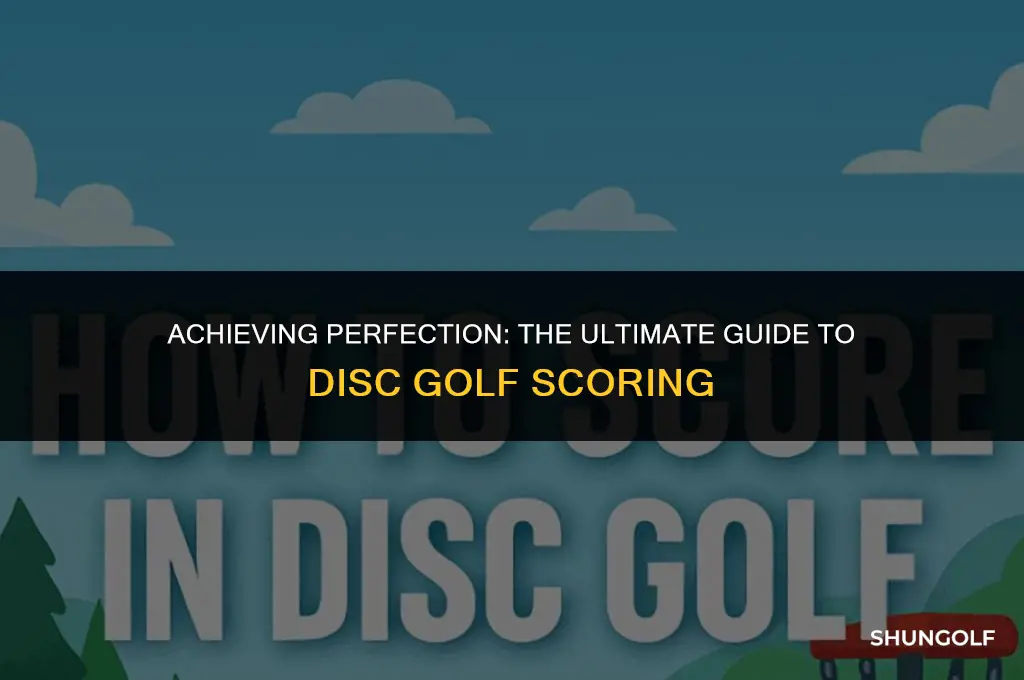 what is a perfect disc golf score