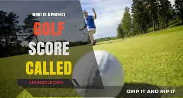 Understanding the Perfect Golf Score: What's It Called and How to Achieve It