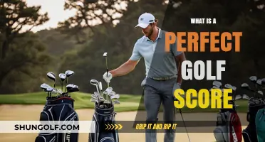 Golfing Glory: Achieving the Perfect Score