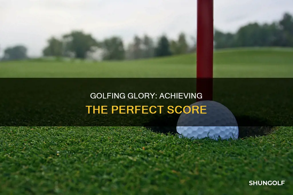 what is a perfect golf score