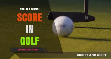 Understanding the Perfect Golf Score: A Hole-in-One Guide